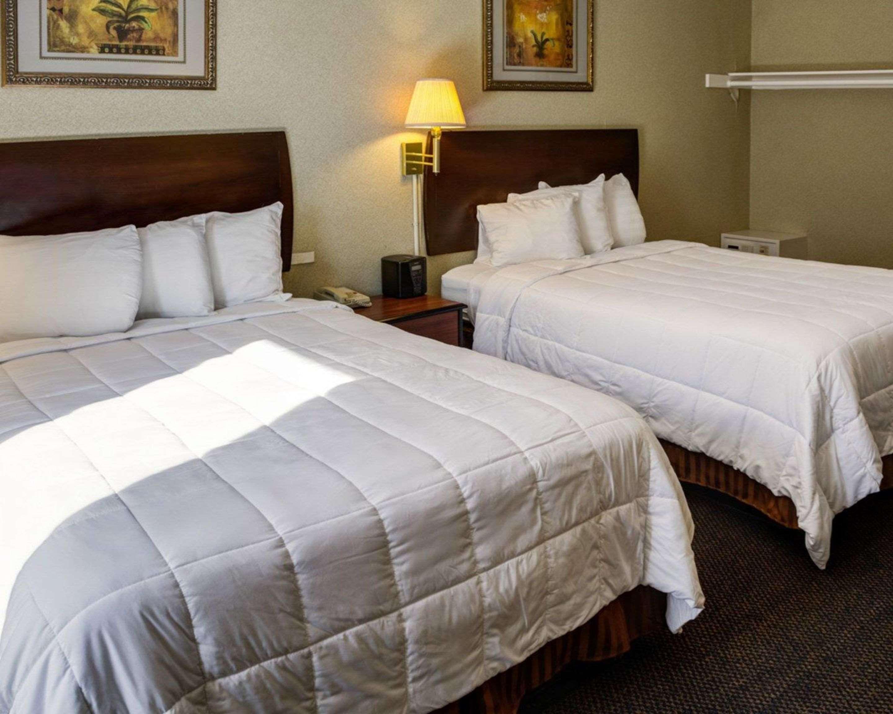 Rodeway Inn Near Venice Beach Los Angeles Eksteriør bilde